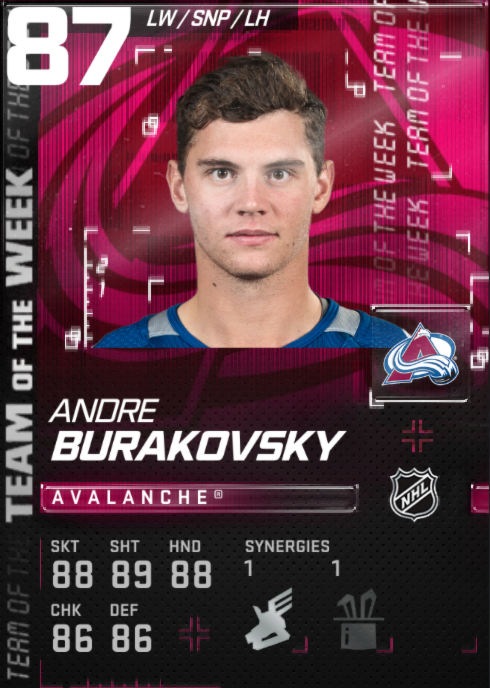 hockeyplayerswithpets: Andre Burakovsky holding